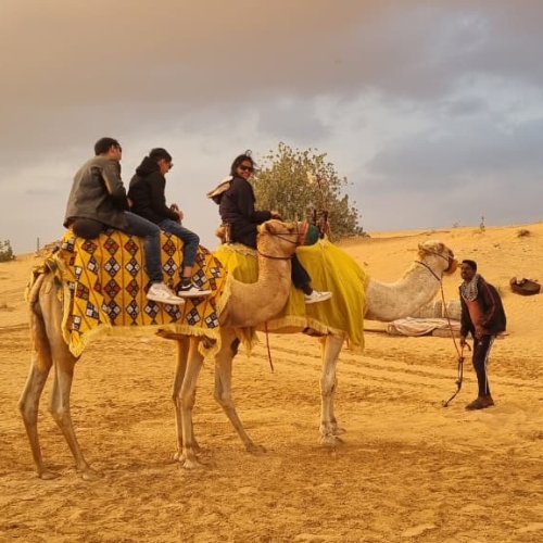 Desert Group