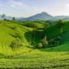 Vietnam – A Journey Through Culture, Cuisine & Nature